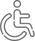 Icon-handicap